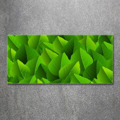 Acrylic print Green leaves