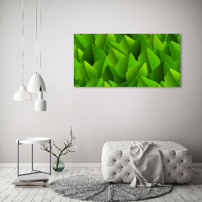 Acrylic print Green leaves