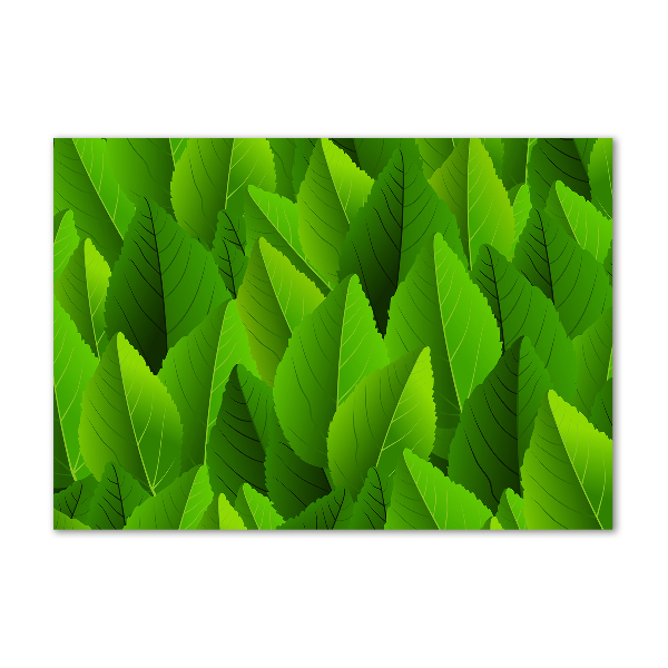 Acrylic print Green leaves