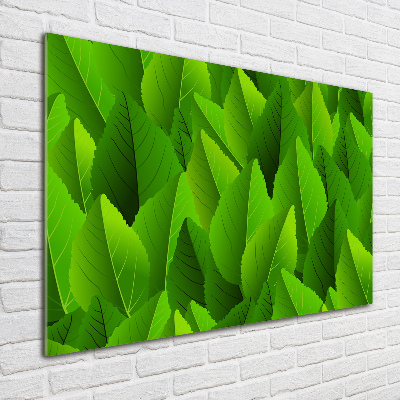 Acrylic print Green leaves