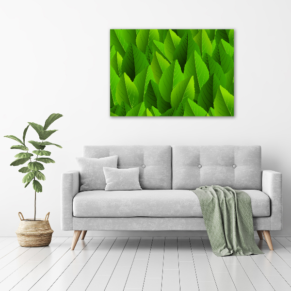 Acrylic print Green leaves