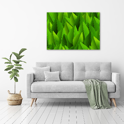 Acrylic print Green leaves