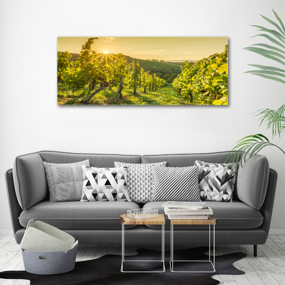 Acrylic print Vineyard