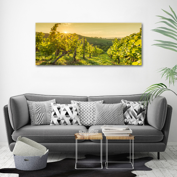 Acrylic print Vineyard