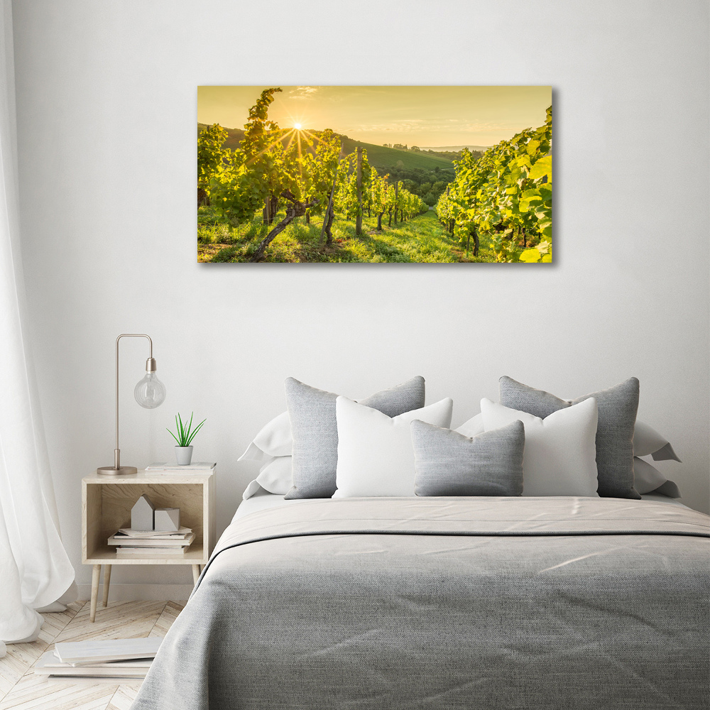 Acrylic print Vineyard