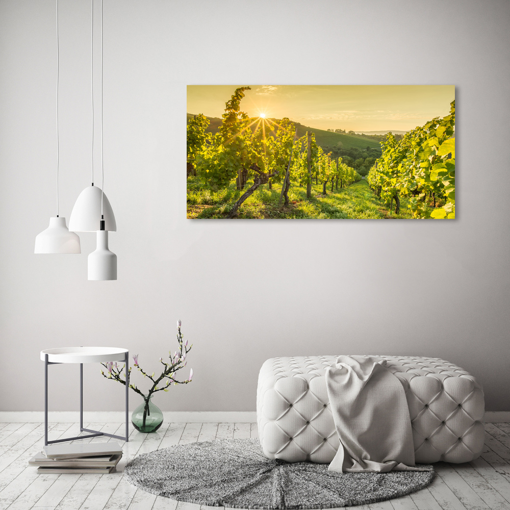 Acrylic print Vineyard