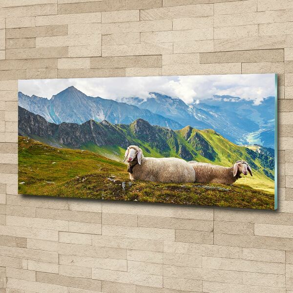 Print on acrylic Sheep in the Alps