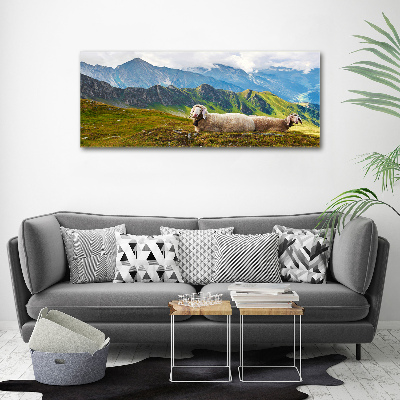 Print on acrylic Sheep in the Alps