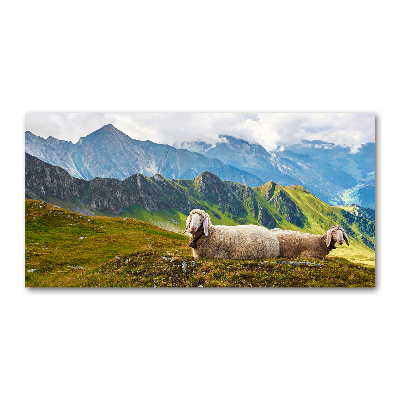 Print on acrylic Sheep in the Alps