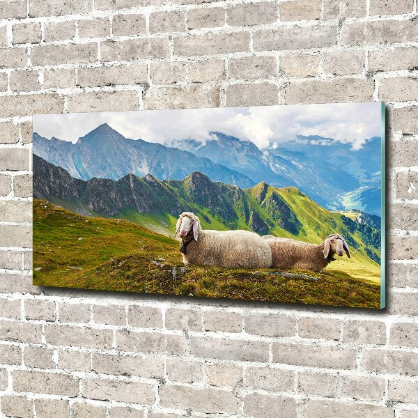 Print on acrylic Sheep in the Alps