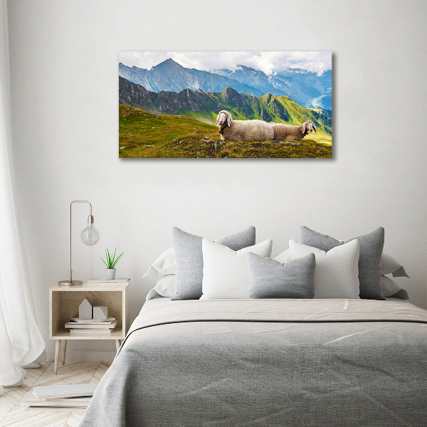 Print on acrylic Sheep in the Alps