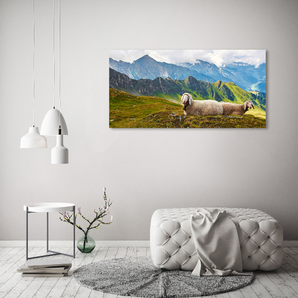 Print on acrylic Sheep in the Alps