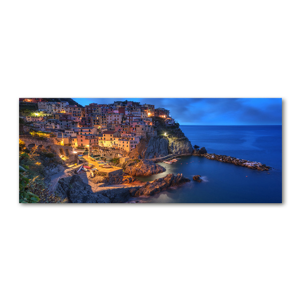 Acrylic wall art Manarola Italy