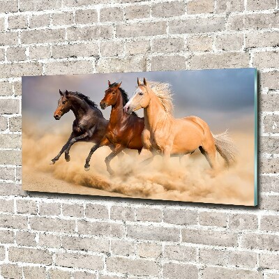 Print on acrylic Horses at gallop