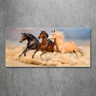 Print on acrylic Horses at gallop