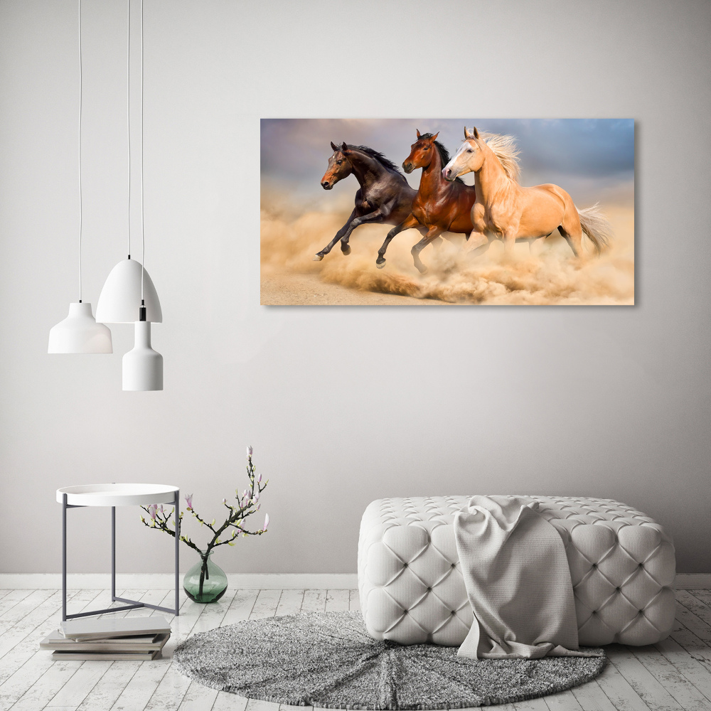 Print on acrylic Horses at gallop