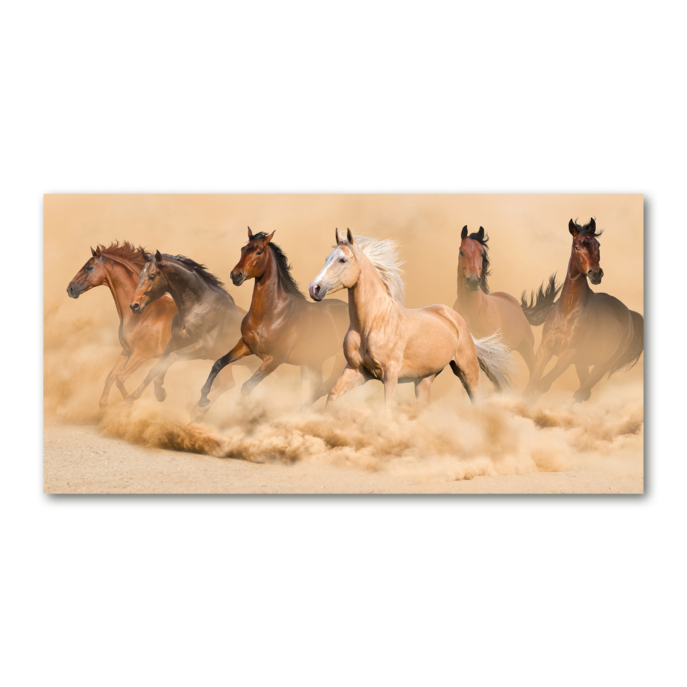 Print on acrylic Desert's horses