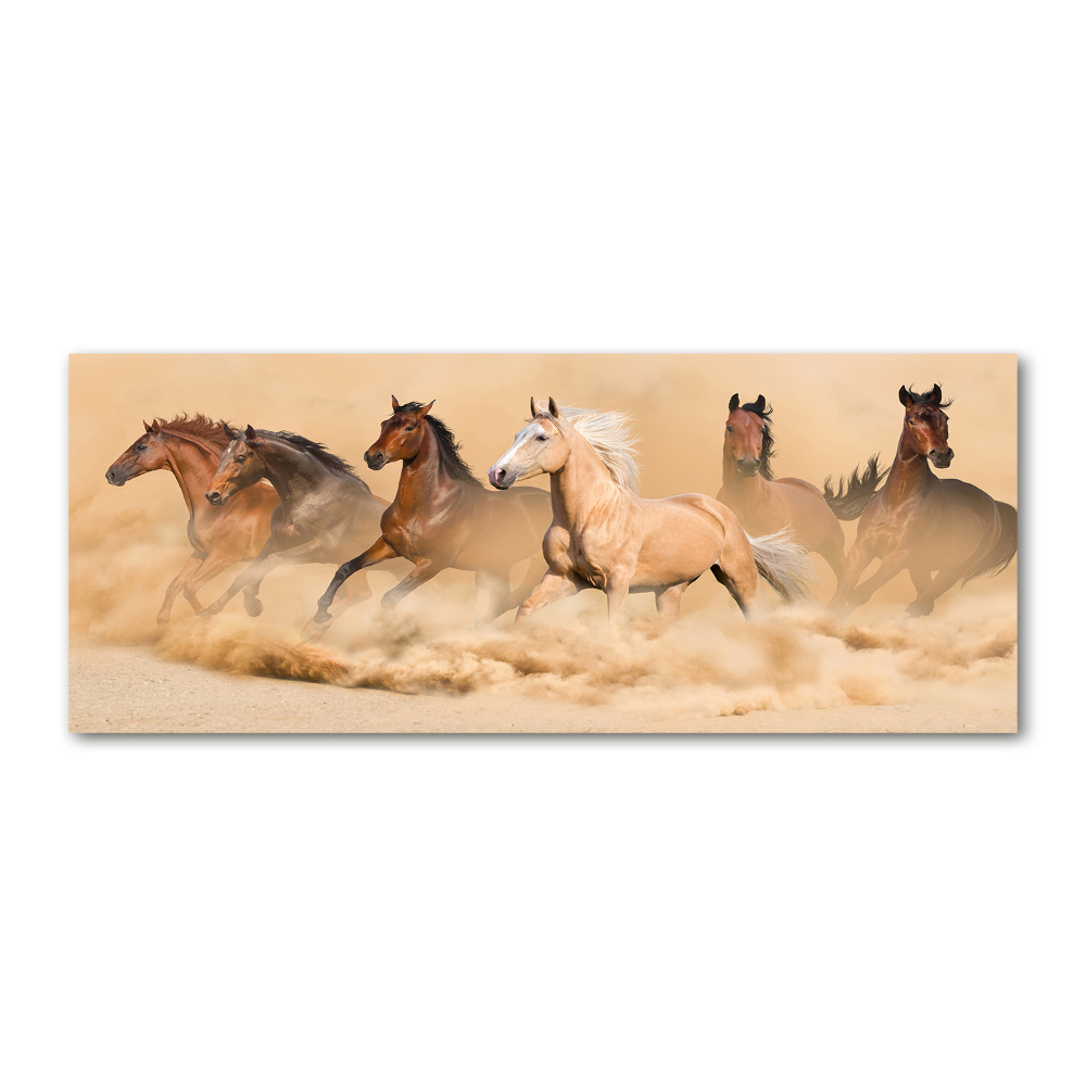 Print on acrylic Desert's horses