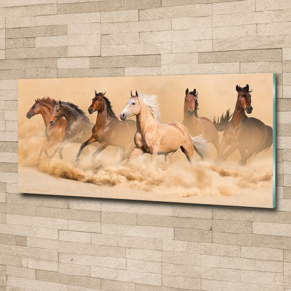 Print on acrylic Desert's horses