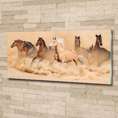 Print on acrylic Desert's horses