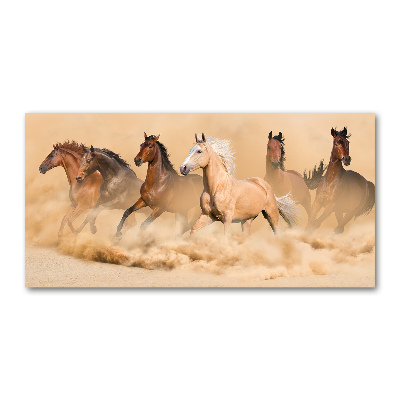 Print on acrylic Desert's horses