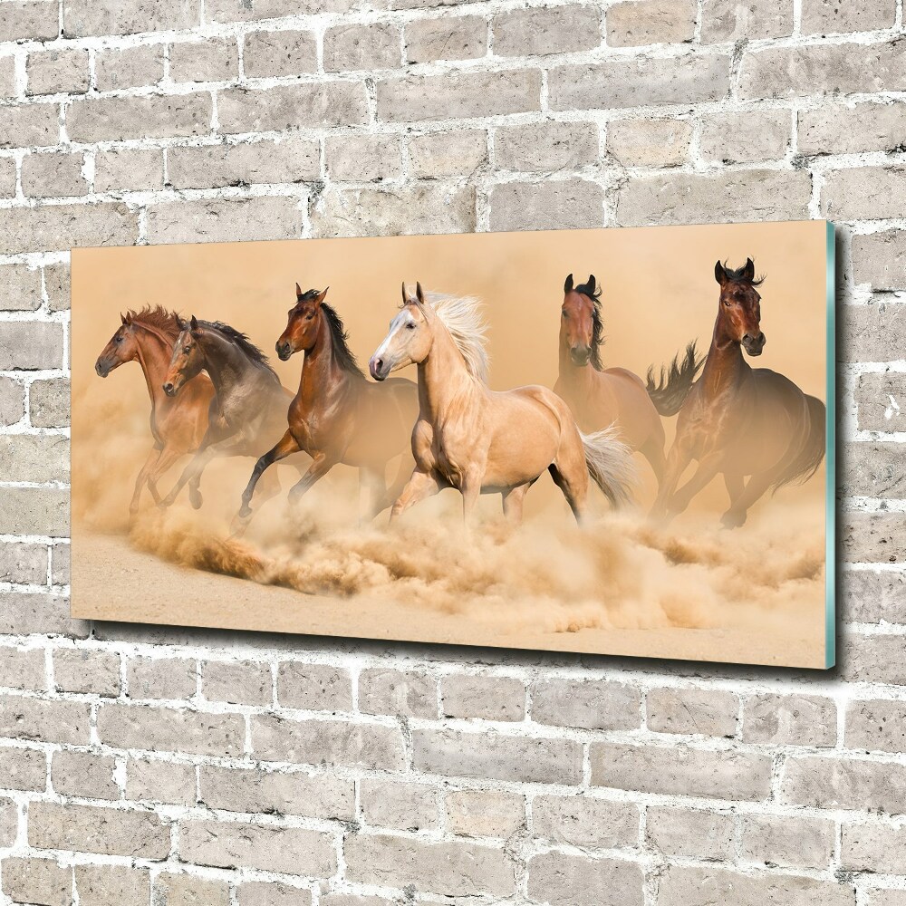 Print on acrylic Desert's horses