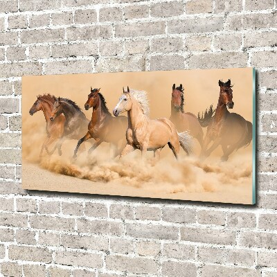 Print on acrylic Desert's horses