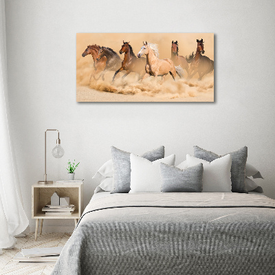 Print on acrylic Desert's horses