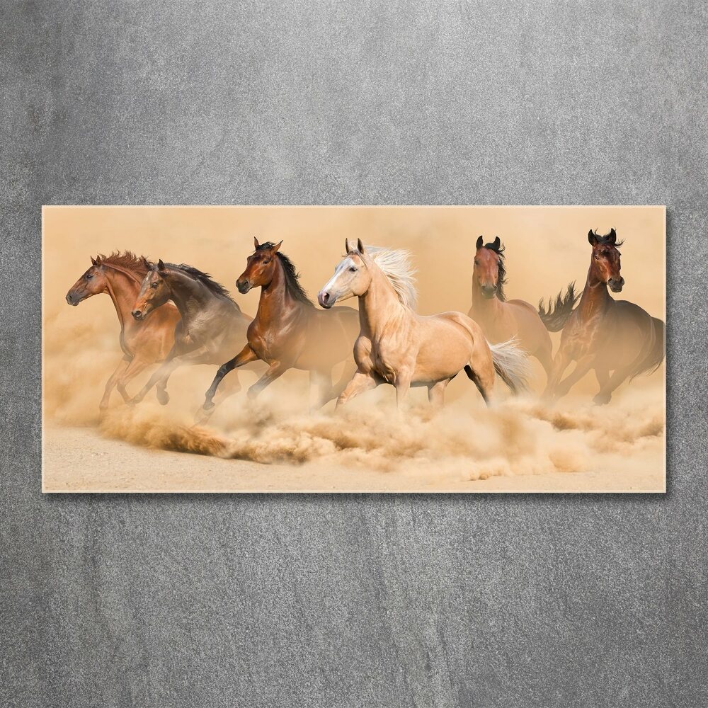 Print on acrylic Desert's horses