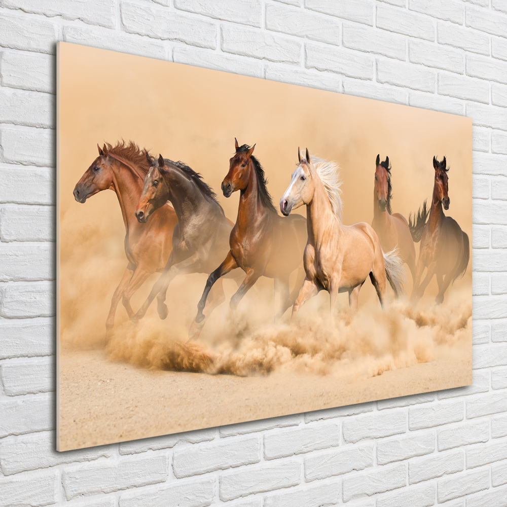 Print on acrylic Desert's horses