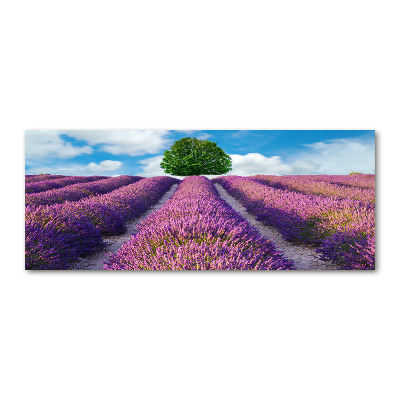 Acrylic wall art Lavender field