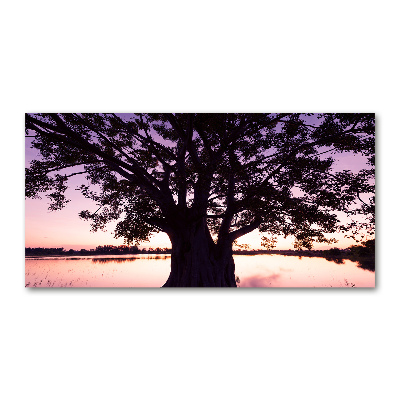 Wall art acrylic Tree and lake