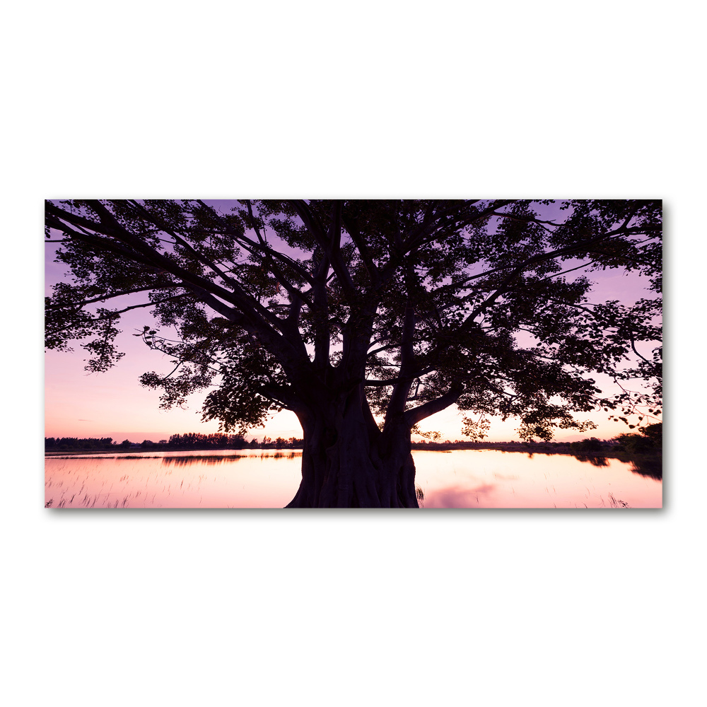 Wall art acrylic Tree and lake