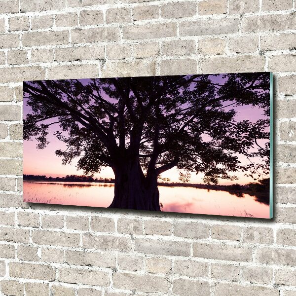 Wall art acrylic Tree and lake