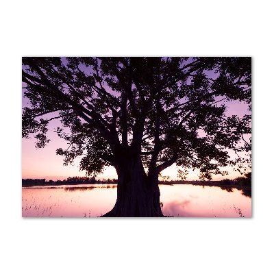 Wall art acrylic Tree and lake