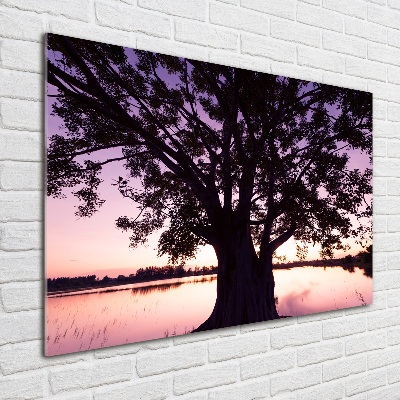 Wall art acrylic Tree and lake