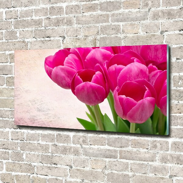 Acrylic wall art Pink tulips