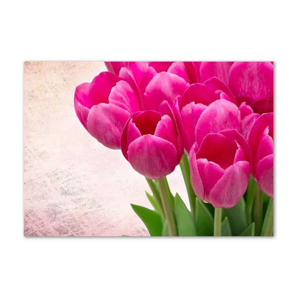 Acrylic wall art Pink tulips