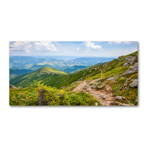 Acrylic wall art Green hills