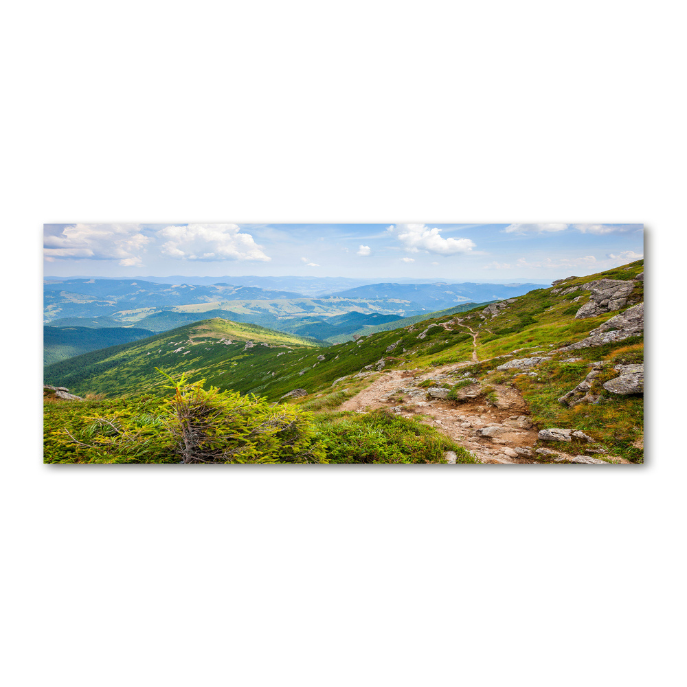 Acrylic wall art Green hills