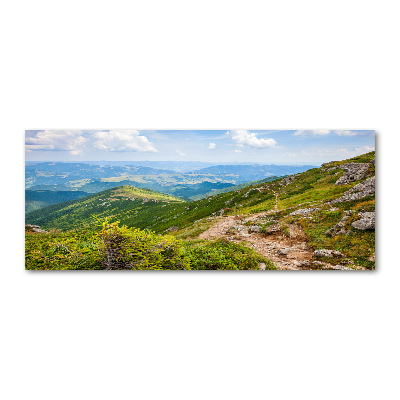 Acrylic wall art Green hills