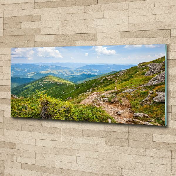 Acrylic wall art Green hills