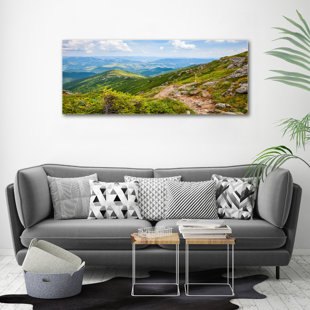 Acrylic wall art Green hills