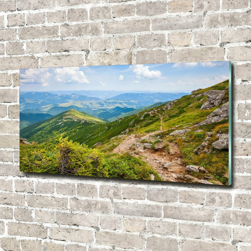 Acrylic wall art Green hills