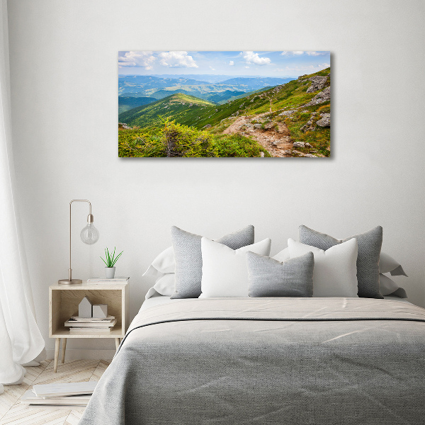 Acrylic wall art Green hills