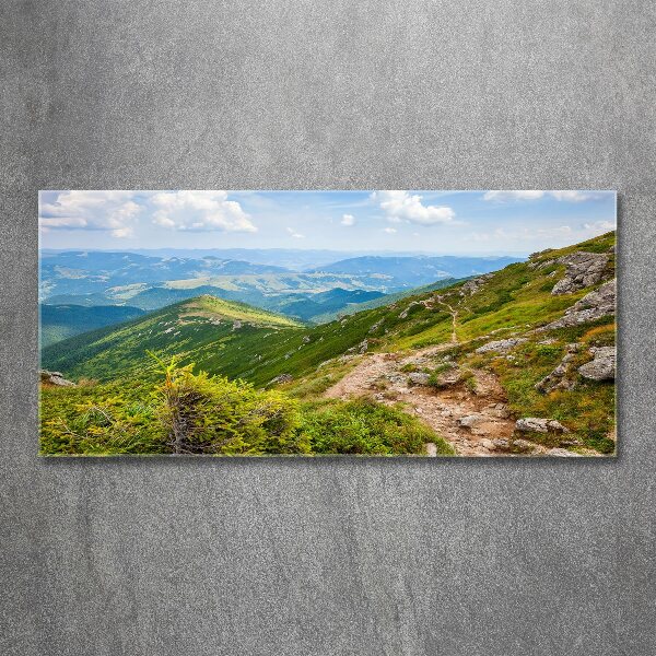 Acrylic wall art Green hills