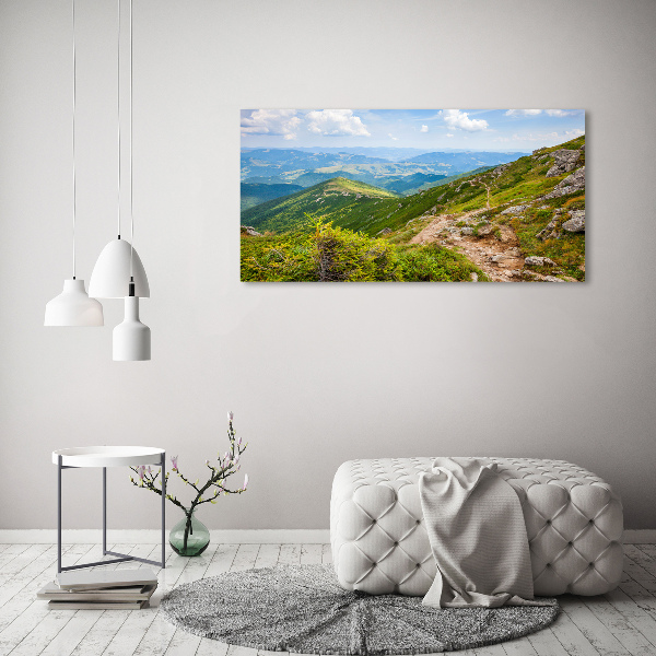 Acrylic wall art Green hills