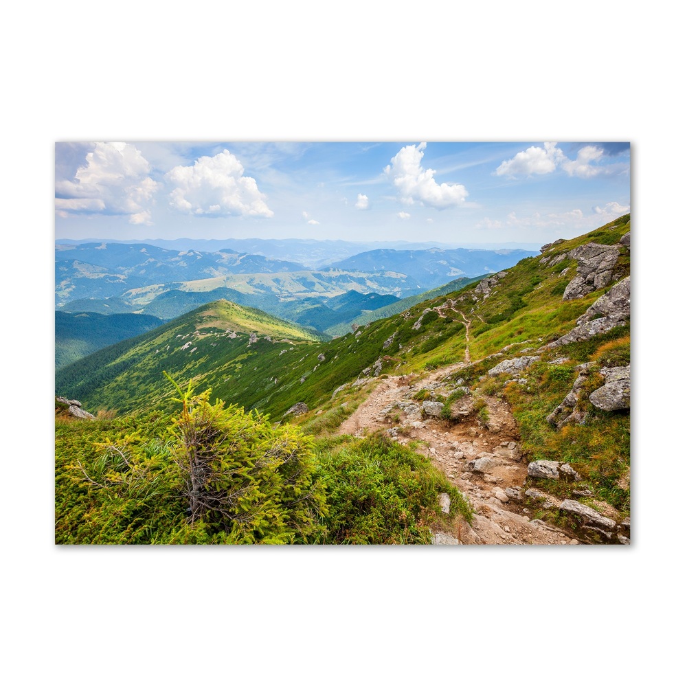 Acrylic wall art Green hills