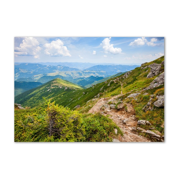 Acrylic wall art Green hills