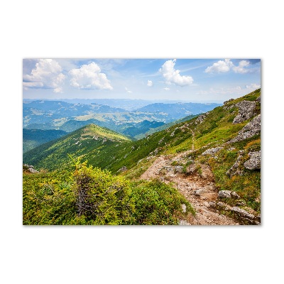 Acrylic wall art Green hills